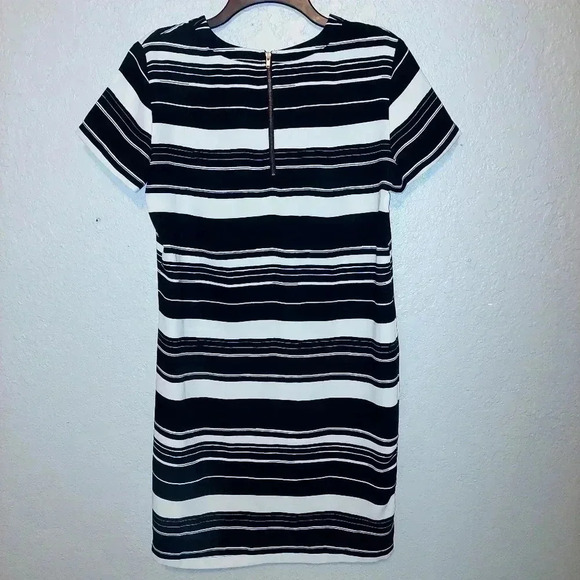 ADRIENNE VITTADINI Sheath Dress 8 Womens Striped Black White Short Sleeves - Picture 2 of 8